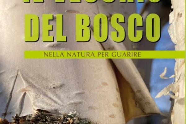 IL VECCHIO DEL BOSCO