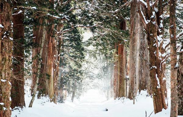 Inverno: Istruzioni d'uso parte 1