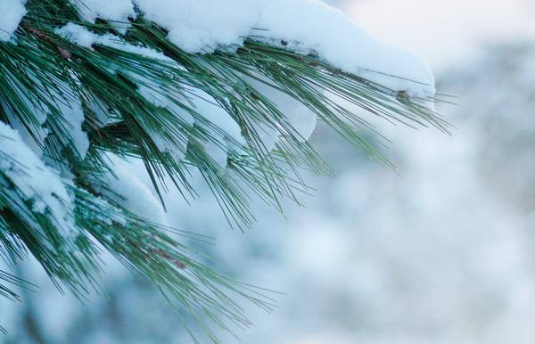 Inverno per l'essere umano