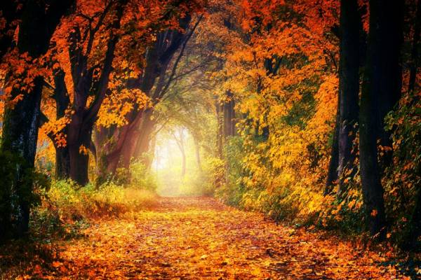 TEMPO D'AUTUNNO