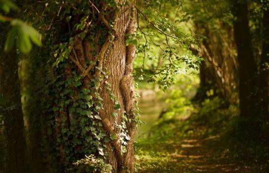 Ed è di nuovo PRIMAVERA